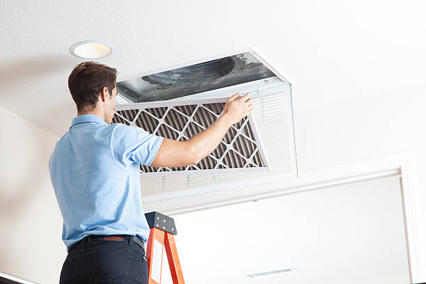 Best HVAC Cleaning Services  in La Luz, NM